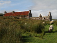 Abandoned cottage, County Mayo